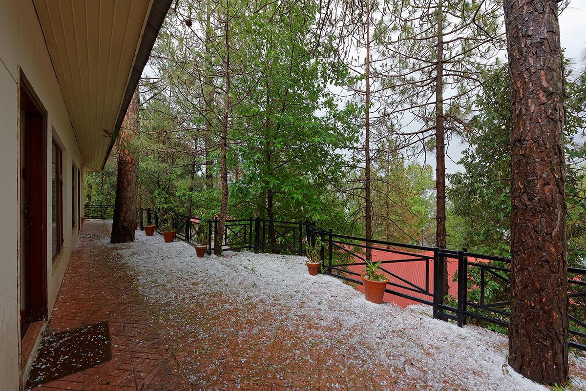 Arcadian Blue Pines Hotell Murree Eksteriør bilde